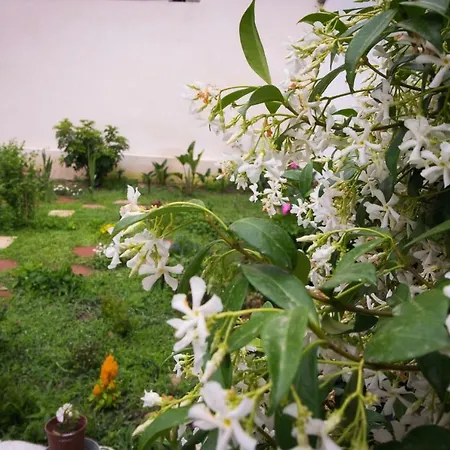 Le Mandorline فندق مبيت وإفطار سان سيزاريو دي ليتشي